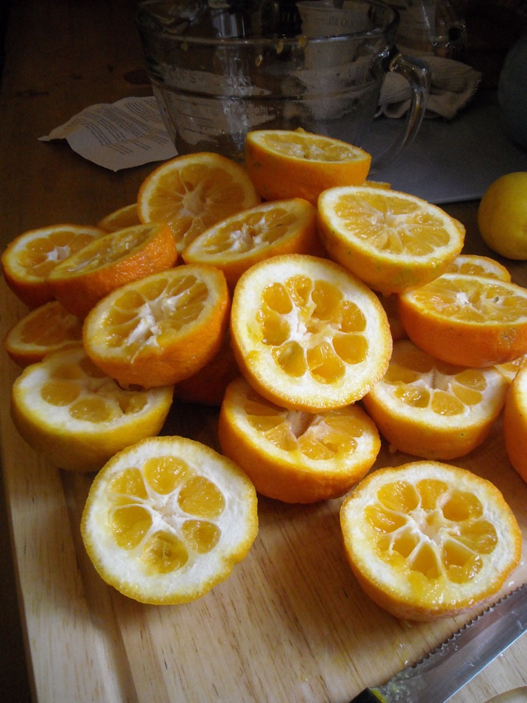 All my sorrows marmalade